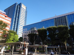 DSC02006